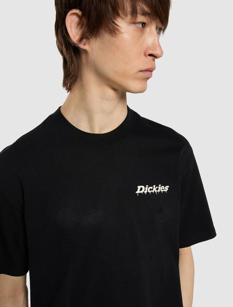 Dickies Statesville Tee - Black
