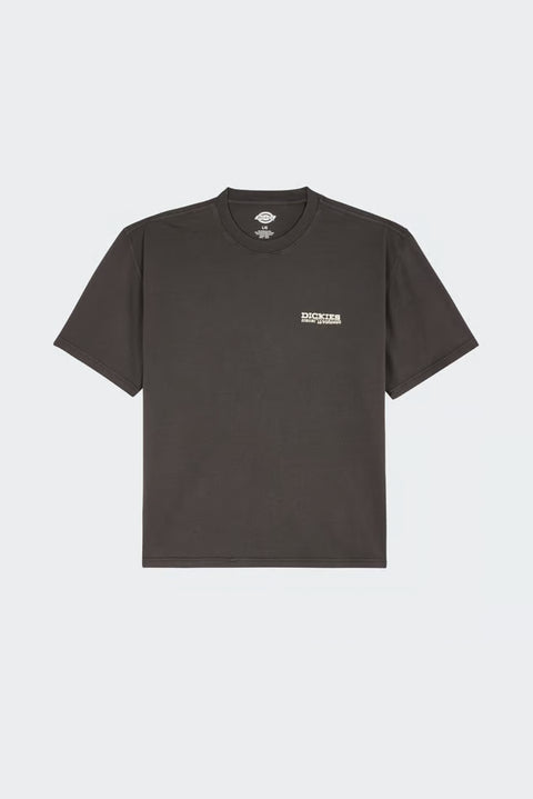 Dickies Avondale Tee - Black